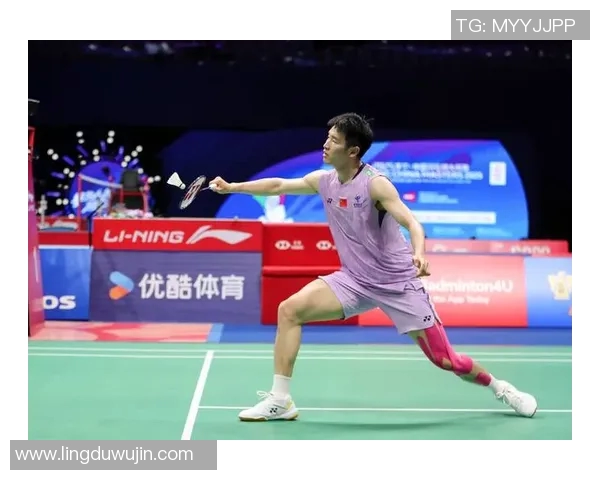 深圳羽毛球队在城市联赛中的灵活性表现分析与点评