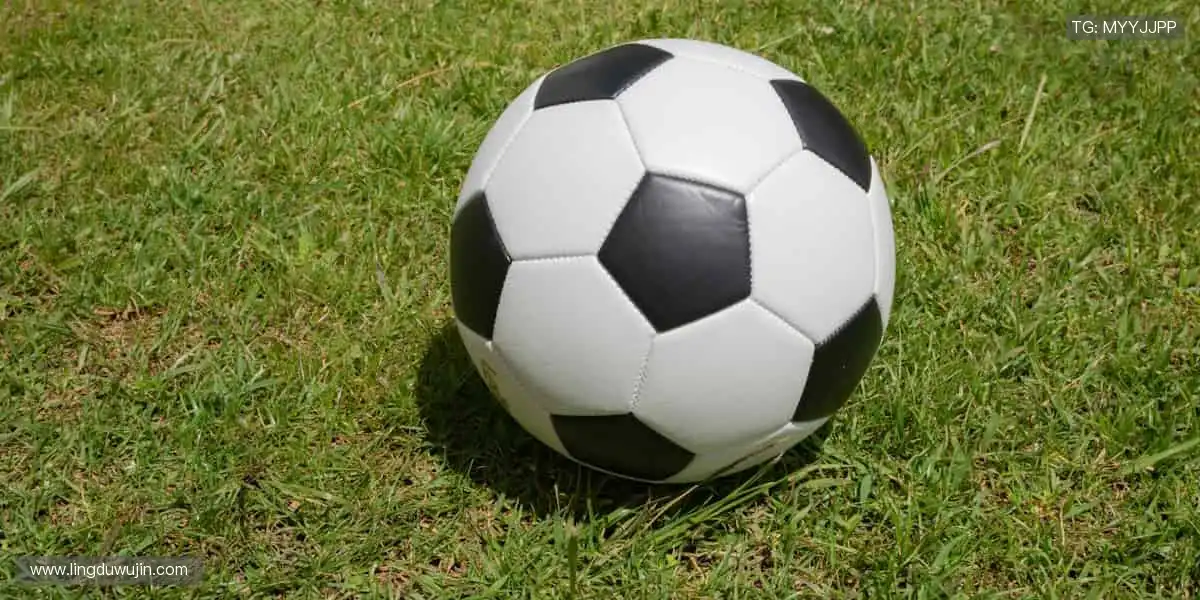 每一次挥汗如雨，都是为了更闪耀的登场！✨